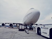 Aerosan cierra alianza con Avianca Cargo para atender a industria salmonera