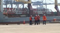 Arribaron a Puerto Central dos grúas STS que permitirán atender a los nuevos buques súper post Panamáx