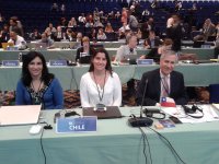 Instituto de Fomento Pesquero forma parte de la delegación chilena que asiste a la 66ª Asamblea Bienal de la Comisión Ballenera Internacional (CBI)