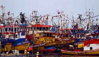 Nuevo reglamento a embarcaciones pone a Chile a la vanguardia internacional en la lucha contra el descarte en pesquerías