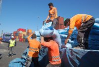Iquique Terminal Internacional comienza temporada de exportación de soya boliviana