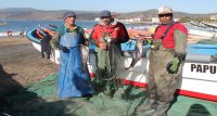 Piden a subsecretaria de Fuerzas Armadas impulsar cambios que permitan levantar embarcadero para pescadores artesanales de Papudo