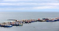 Subpesca abre proceso de postulaciones a los Consejos Zonales de Pesca