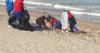 EPA participó en operativo "Limpieza Playa Las Machas"