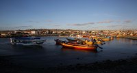 Estado de los recursos 2017: Pesquerías chilenas presentan progresiva mejoría