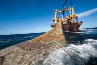Cinco ONG reclaman a la Unión Europea que garantice que las OROP puedan cumplir las sanciones por pesca ilegal