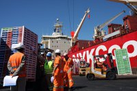 Sistema portuario de Valparaíso analiza requerimientos de China para temporada de la fruta