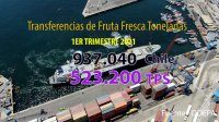 TPS embarcó 56% de fruta fresca que Chile exportó en el primer trimestre de 2021