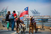 Puerto San Antonio rebajará de manera temporal en un 90% el arriendo a locatarios del Paseo Bellamar