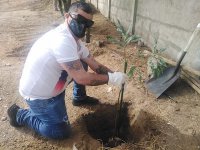 ATI y Deportivo ATI plantan árboles junto a la comunidad