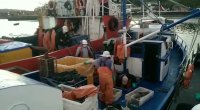 Autoridad Marítima de Puerto Montt impide robo de casi 10 toneladas de salmones