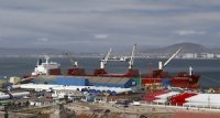Puerto de Coquimbo exportaría más de 100 mil toneladas de fruta a Estados Unidos