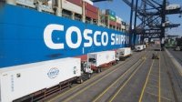 STI supera los 1.100 contenedores de cereza transferidos en una misma nave