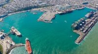 Puerto de San Antonio registra aumento sostenido en la transferencia de carga durante 2024