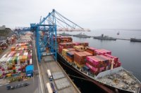 TPS, ONE y EPV dan inicio a la temporada de cerezas 2024-2025