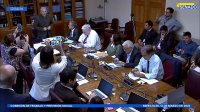 Comisión de Trabajo del Senado aprobó en general Ley que permite la apertura del cabotaje a naves extranjeras.