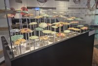 Con su recalada en el Museo Marítimo Nacional la exposición 