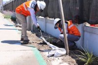 Ultraport y TPC implementan nuevos jardines secos al interior del Puerto de Coquimbo Ultraport y TPC implementan nuevos jardines secos al interior del Puerto de Coquimbo