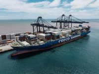 Temporada de cherry sigue en marcha: STI y Cosco reciben a importantes exportadores de fruta Temporada de cherry sigue en marcha: STI y Cosco reciben a importantes exportadores de fruta