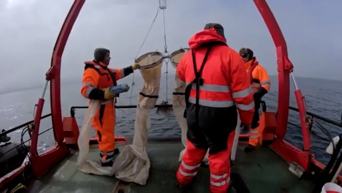 Nuevamente este año la Naviera Easter Island ganó la licitación para operar la lancha polar Karpuj.
