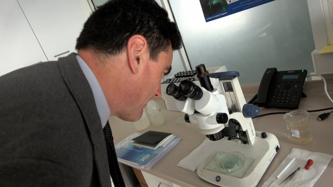 Nuevo Subsecretario de Pesca, Osvaldo Urrutia Silva visitó el IFOP.