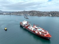 TPC y Maersk acercan la operación portuaria a exportadores de cítricos de la Región de Coquimbo