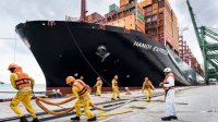 Hapag Lloyd recuperación de resultados en el segundo trimestre a pesar de presión en costos