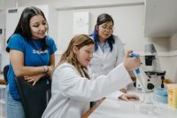ULagos abrirá este 2027 la carrera de Biología Marina en Puerto Montt